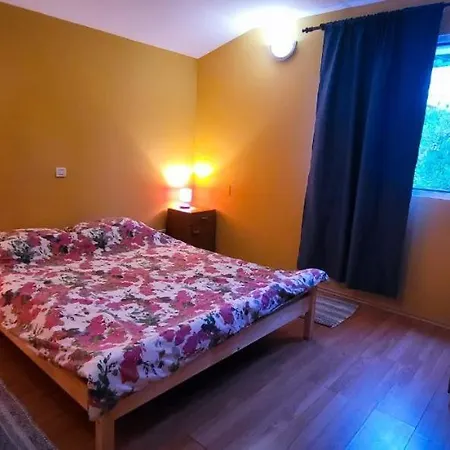 Apartmán Jungle Jam *