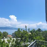 Apartment Jungle Jam