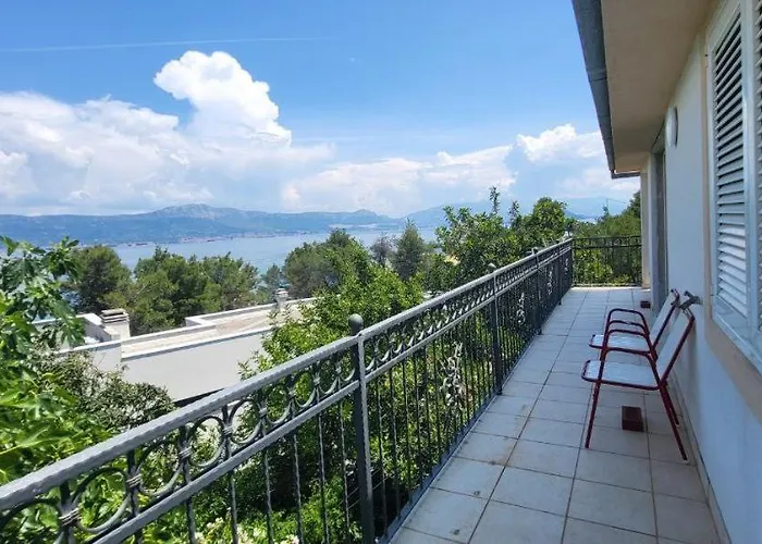 Apartman Jungle Jam *
