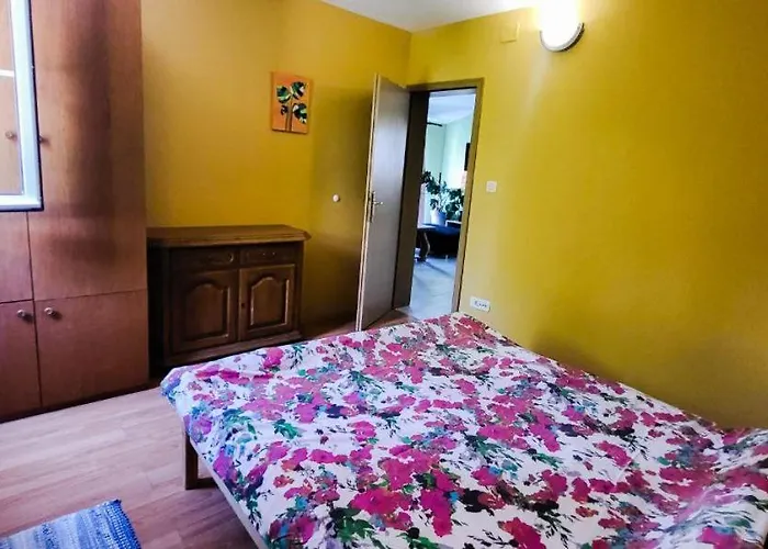 Apartman Jungle Jam *