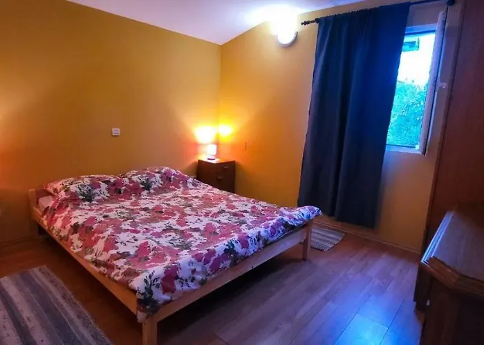 Apartman Jungle Jam *