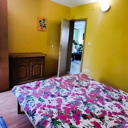 Apartman Jungle Jam *